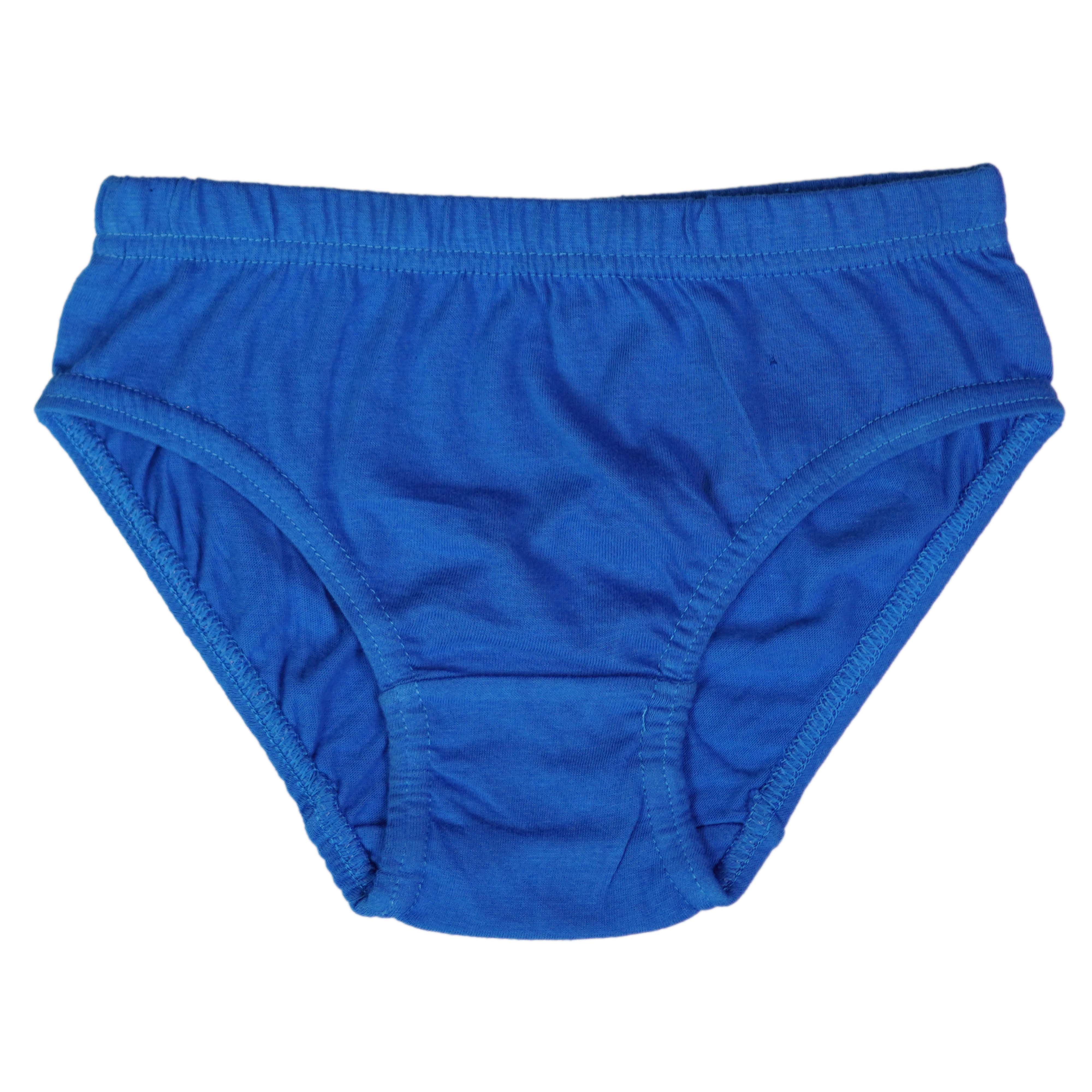 04 Pieces Kids Brief - Foxy Garments