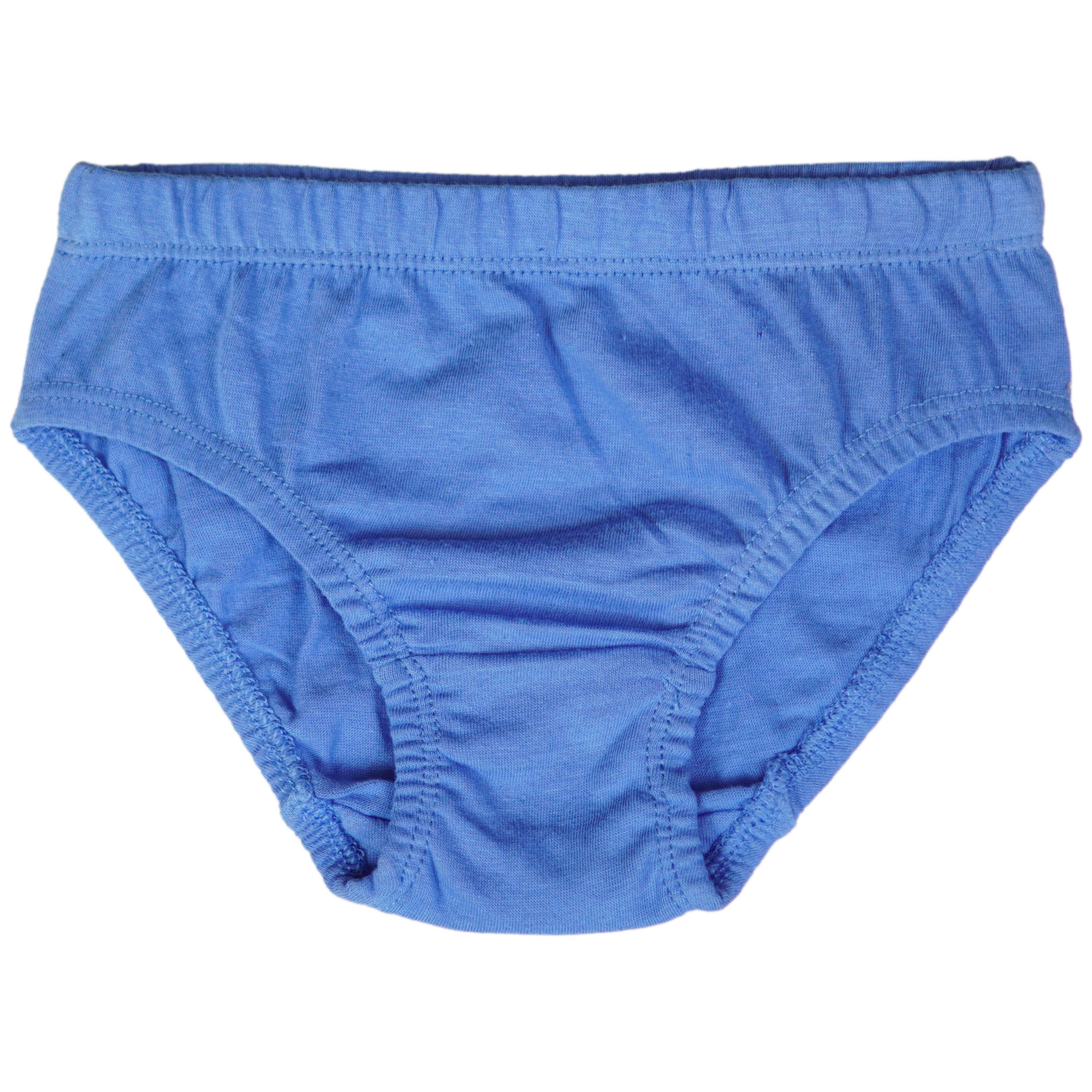 04 Pieces Kids Brief - Foxy Garments