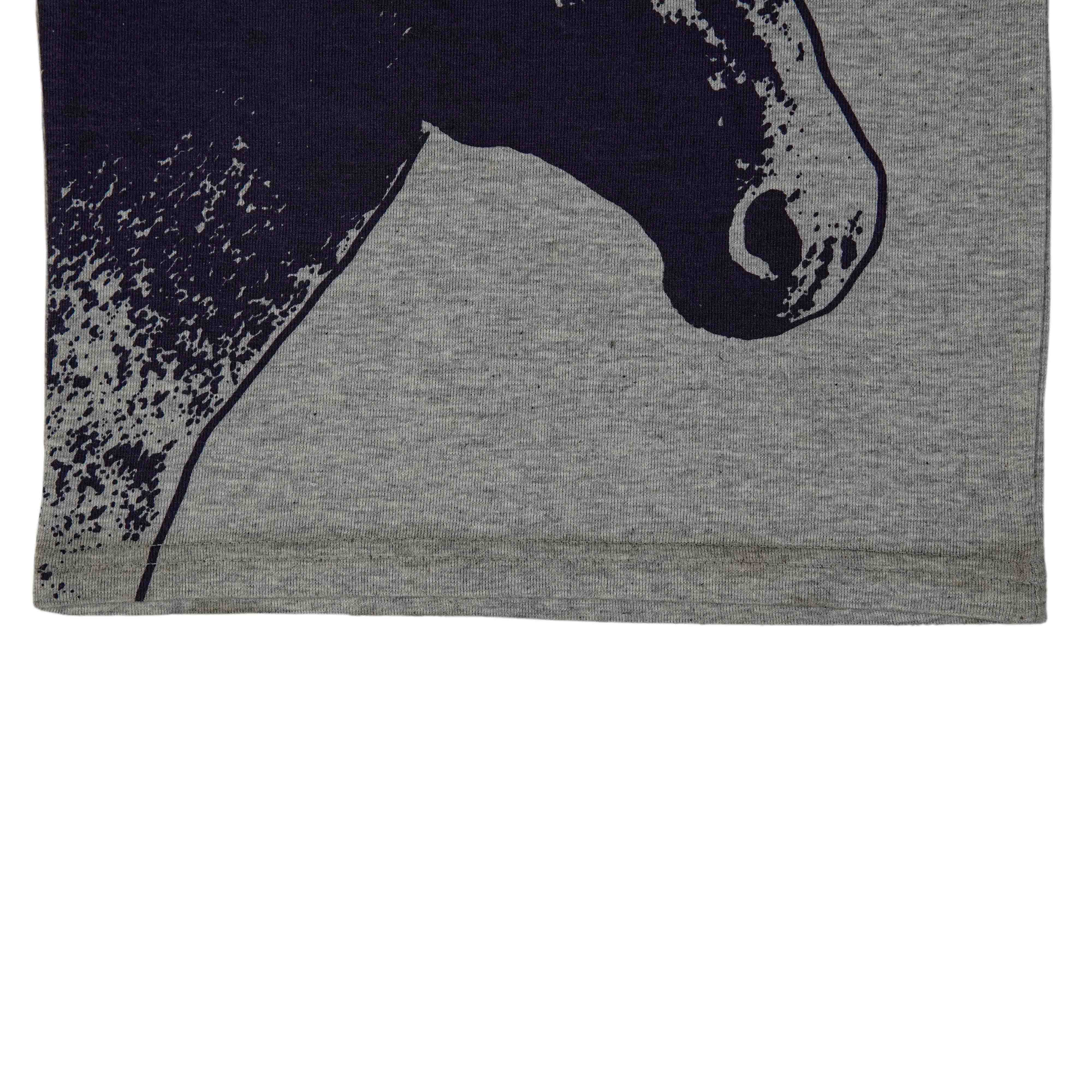 Kids Contrast Sleeve Horse Printed T Shirt - Foxy Garments